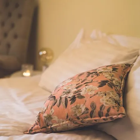 & Guest house